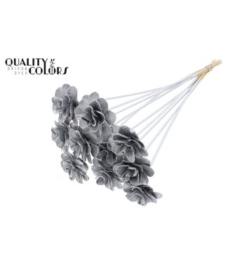 QC Beetal Rose 6cm on stem Silver | Per 50 stuks