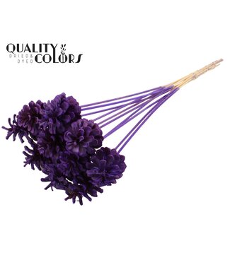 QC Pine cone 5-7cm on stem Intense Purple ( x 50 )