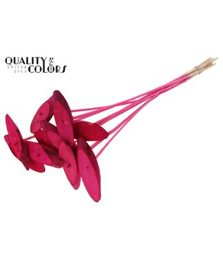 QC Wood oval Slice on stem Cerise | Per 50 stuks