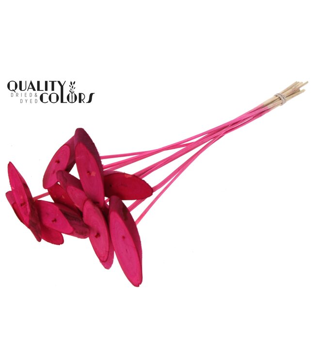 Wood oval Slice on stem Cerise ( x 50 )
