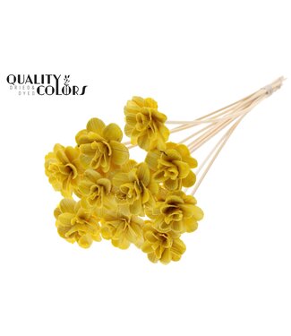 QC Beetal Rose 6cm on stem Wax Yellow ( x 50 )