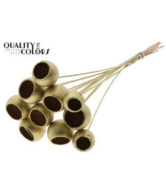 QC Bell Cup on stem Gold | Per 50 stuks