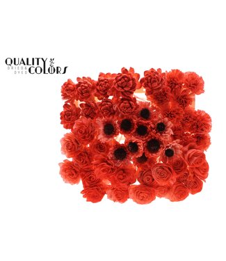 QC Shola Flower Mix on stem Coral | Per 50 stuks