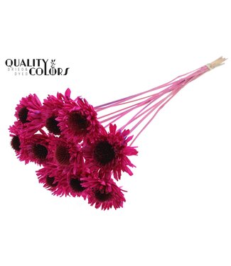 QC Shola Daisy Sunflower 6cm on stem Lilac ( x 50 )