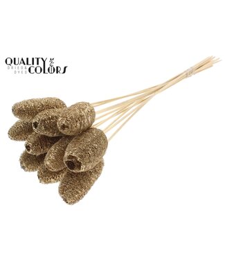 QC Luffa Mini on stem Antique Gold ( x 50 )