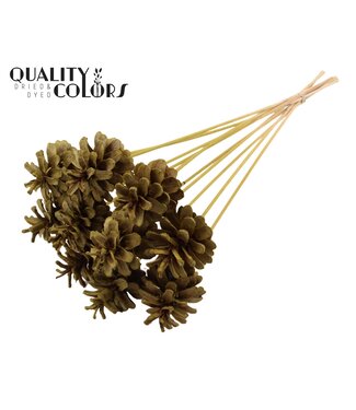 QC Pine cone 5-7cm on stem Intense Olive | Per 50 stuks