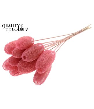 QC Luffa Mini on stem Light Pink | Per 50 stuks
