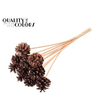 QC Pine cone 5-7cm on stem Frosted Salmon | Per 50 stuks