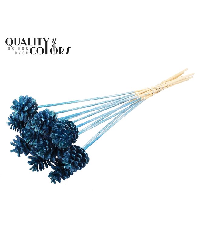 Pine cone 5-7cm on stem Metallic Blue + Glitter ( x 150 )