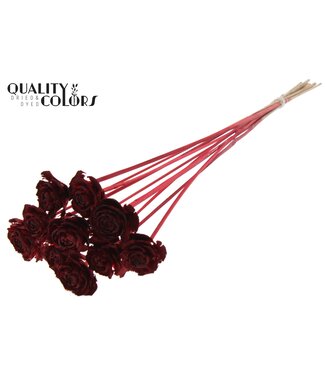 QC Cedar Rose on stem Red | Per 50 stuks