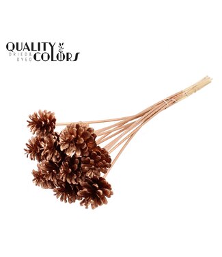 QC Pine cone 5-7cm on stem Copper | Per 50 stuks