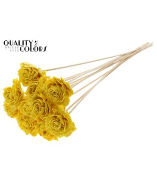 QC Shola Dhaliya 6cm on stem Wax Yellow | Per 50 stuks