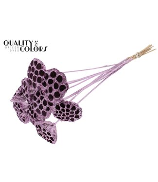 QC Lotus 5-7cm on stem Metallic Pink ( x 50 )