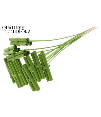 QC Jute Stick Posy on stem Covered Light Green ( x 50 )