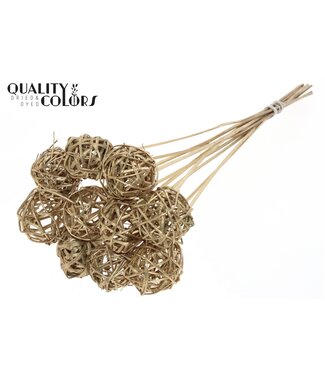 QC Bruce Ball 5cm on stem Antique Gold | Per 50 stuks