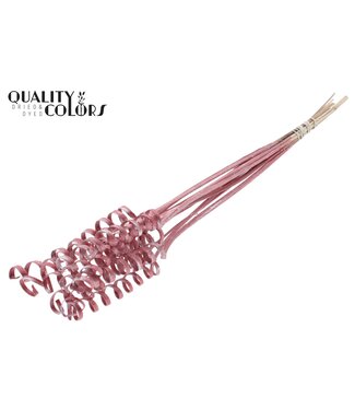QC Cane Spring on stem Metallic Red | Per 50 stuks
