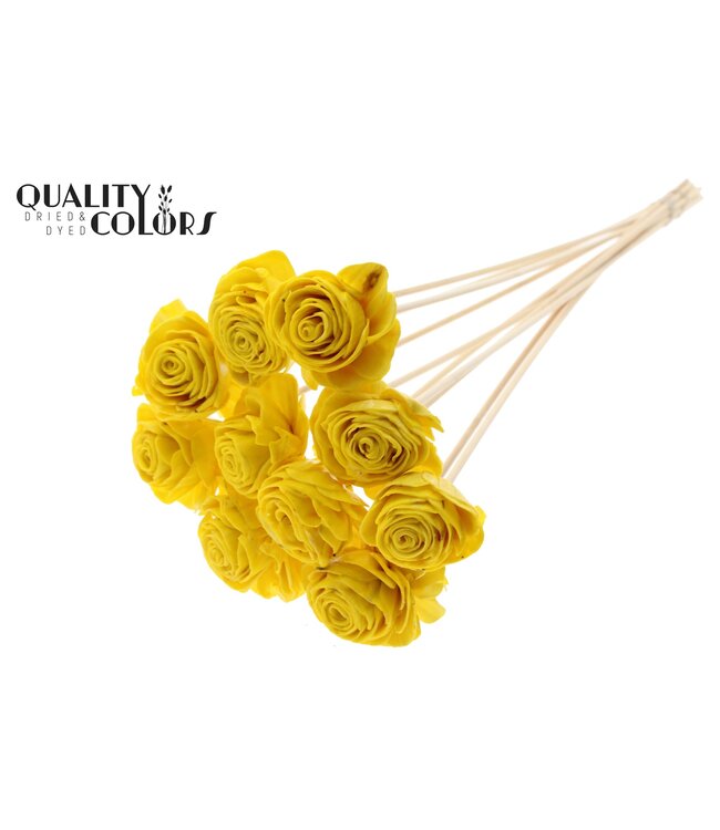 Shola Beauty Rose 6cm on stem Wax Yellow ( x 50 )