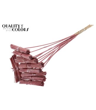 QC Kore Posy on stem Metallic Red | Per 50 stuks