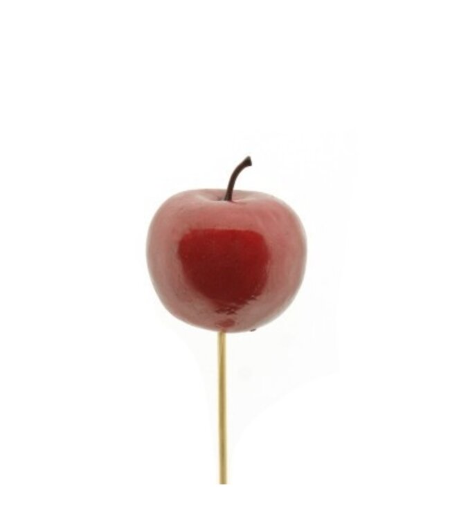 Bijsteker 50cm Appel 6cm ( x 25 )