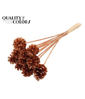 QC Pine cone 5-7cm on stem Copper + Glitter | Per 50 stuks