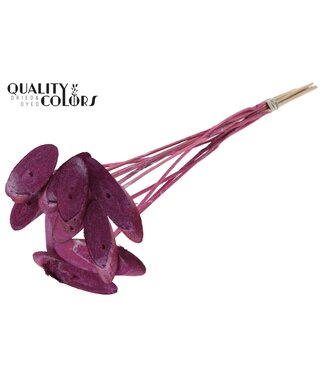 QC Wood oval Slice on stem Metallic Pink | Per 50 stuks