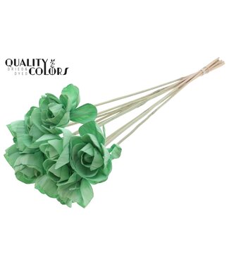 QC Shola Dear Holly 6cm on stem Mint Green | Per 50 stuks