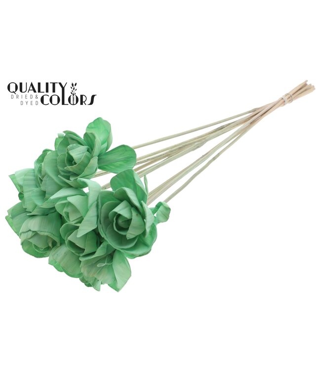 Shola Dear Holly 6cm on stem Mint Green ( x 50 )