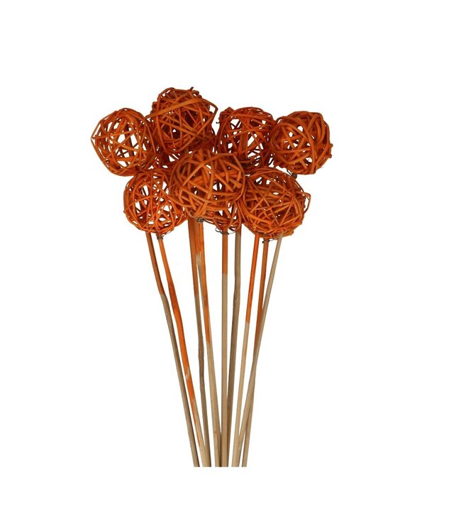 Bijsteker 50cm Brunchbal 5cm ( x 10 )