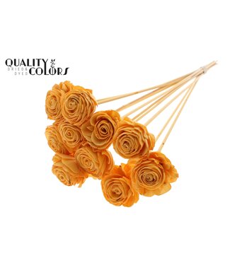 QC Shola Beauty Rose 6cm on stem Apricot | Per 50 stuks