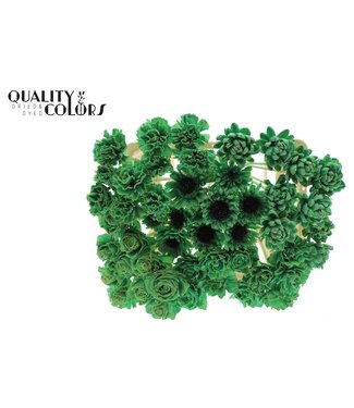 QC Shola Flower Mix on stem Mint Green ( x 50 )