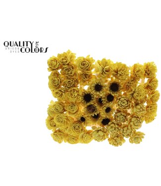 QC Shola Flower Mix on stem Yellow | Per 50 stuks