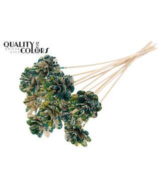 QC Beetal Rose 6cm on stem Multicolour Green/Yellow | Per 50 stuks