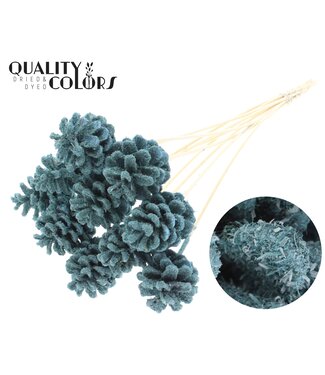 QC Pine cone 5-7cm on stem Sawdust Light Blue | Per 50 stuks