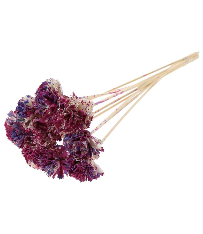 Shola Karnish Flower 6cm on stem Multicolour Cerise/Milka ( x 50 )