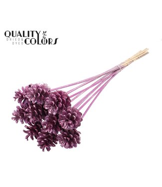 QC Pine cone 5-7cm on stem Metallic Pink + Glitter ( x 150 )