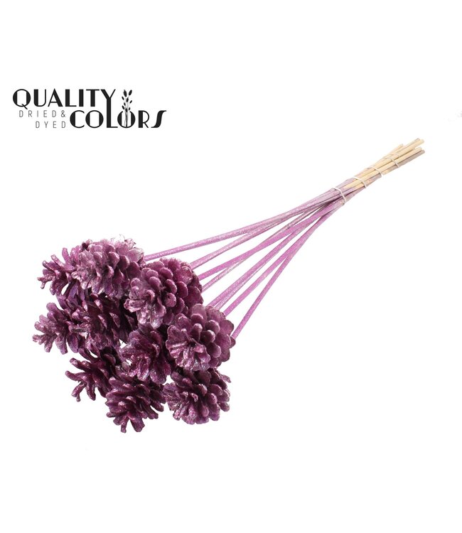 Pine cone 5-7cm on stem Metallic Pink + Glitter ( x 150 )