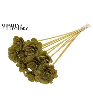 QC Beetal Rose 6cm on stem Olive ( x 50 )