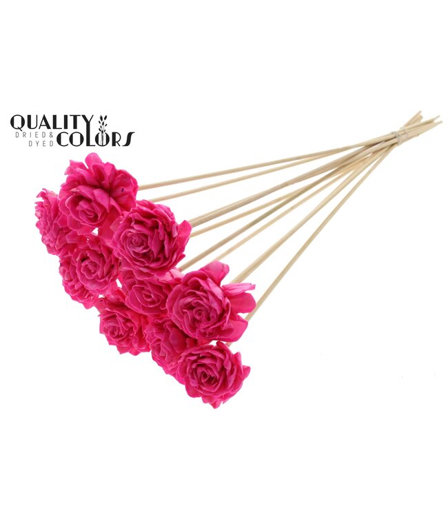 Shola Dhaliya 6cm on stem Wax Cerise ( x 50 )