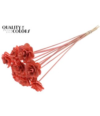 QC Beetal Rose 6cm on stem Coral ( x 50 )