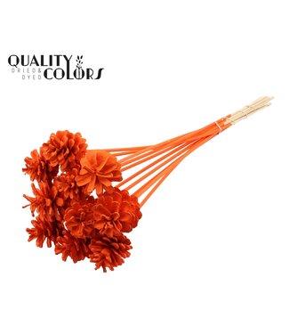 QC Pine cone 5-7cm on stem Covered Orange ( x 150 )