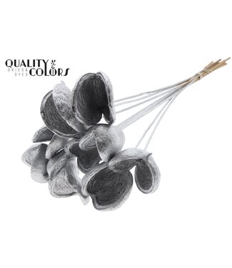 QC Badam on stem Silver | Per 50 stuks