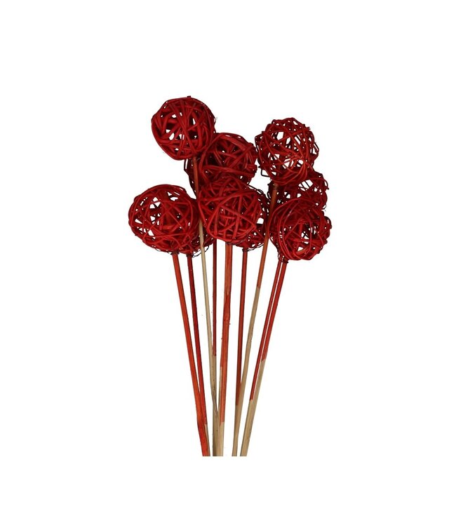Bijsteker 50cm Brunchbal 5cm ( x 10 )