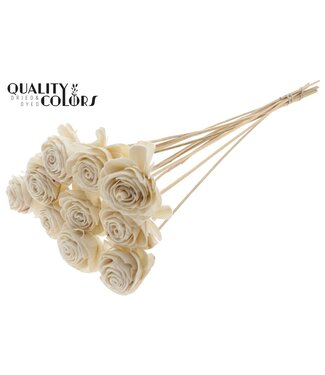 QC Shola Beauty Rose 6cm on stem Natural | Per 50 stuks