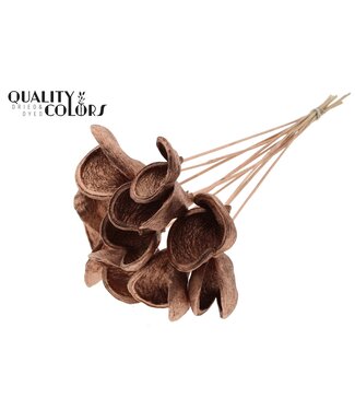 QC Badam on stem Copper | Per 50 stuks