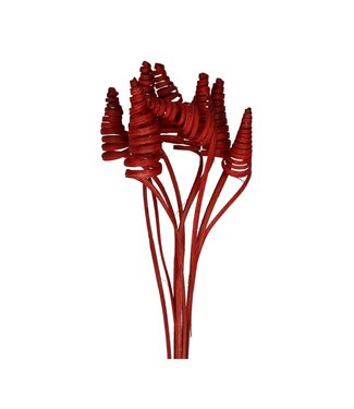 4A Bijsteker 50 centimeter Cane Cone | Per 10 stuks