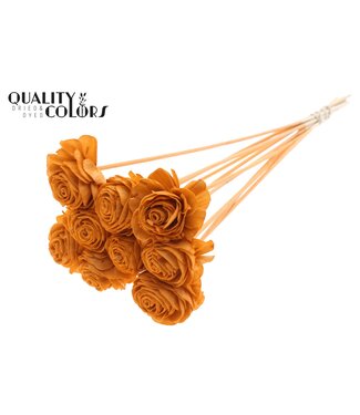 QC Shola Beauty Rose 6cm on stem Terracotta ( x 50 )