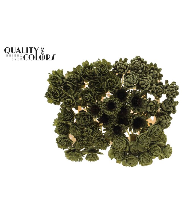 Shola Flower Mix on stem Olive ( x 50 )