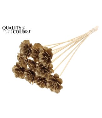 QC Beetal Rose 6cm on stem Antique Gold ( x 50 )