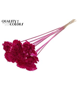 QC Shola Karnish Flower 6cm on stem Lilac | Per 50 stuks