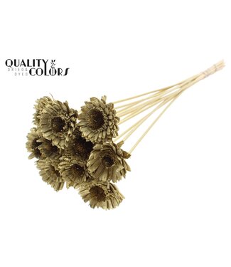 QC Shola Daisy Sunflower 6cm on stem Gold ( x 50 )